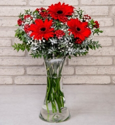 Gerbera ve Kokina - Yılbaşı Çiçeği
