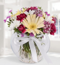 Karışık Kır Çiçekler Cam fanus vazo içerisinde beyaz gerbera ve mevsimin karışık taze çiçekleri ile hazırlanmıştır.