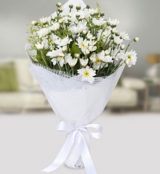 Beyaz Papatya Buketi 50 Adet beyaz papatya ve yeşillikler ile hazırlanmış kır çiçeği buketi. Not; Papatyaların, yapısı gereği aranjmandaki çiçek adedine tomurcukları da dahildir.
