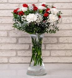 Karanfil ve Kokina - Yılbaşı Çiçeği