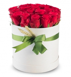 Kutuda 20 Kırmızı Güller