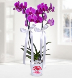 Mor Orkide Her şey seninle güzel temalı seramik vazo içerisinde çift dallı mor orkide ile hazırlanmıştır